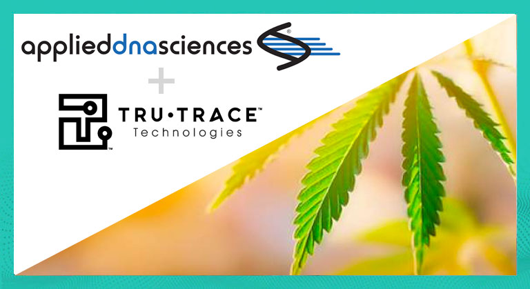 Applied DNA Announces CertainT® Platform Support for TruTrace StrainSecure™ 2.0 for Next Generation Cannabis Tagging, Testing and Tracking